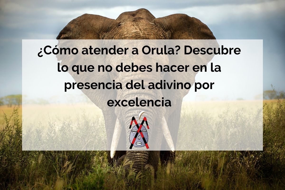 How to attend to Orula?