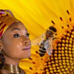 ¿Por qué la miel le pertenece a Oshún Esto nos cuentan los patakies Yorubas
